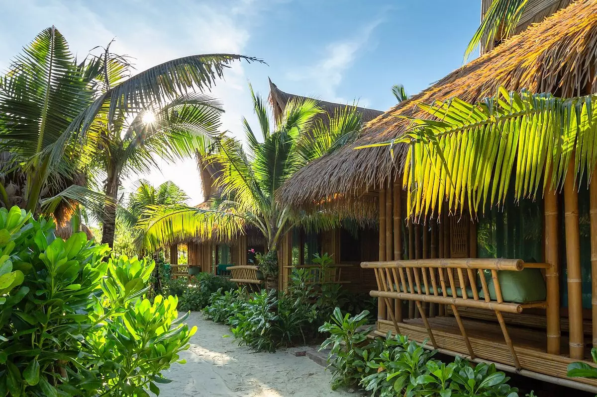 راهرو طبیعی هتل فی‌فی کوکو بیچ